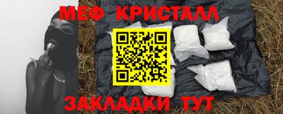 прущие грибы Будённовск