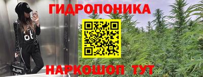 эйфоретик Бугуруслан
