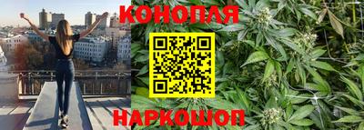 прущие грибы Будённовск