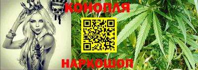 прущие грибы Будённовск