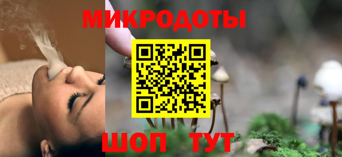 Галлюциногенные грибы Psilocybe Лесной